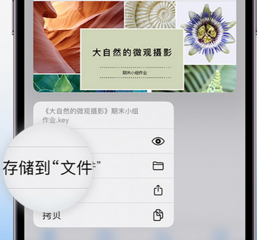 长治apple维修中心分享iPhone文件应用中存储和找到下载文件