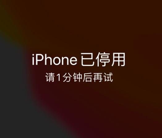 长治苹果手机维修分享:iPhone 显示“不可用”或“已停用”怎么办？还能保留数据吗？ 