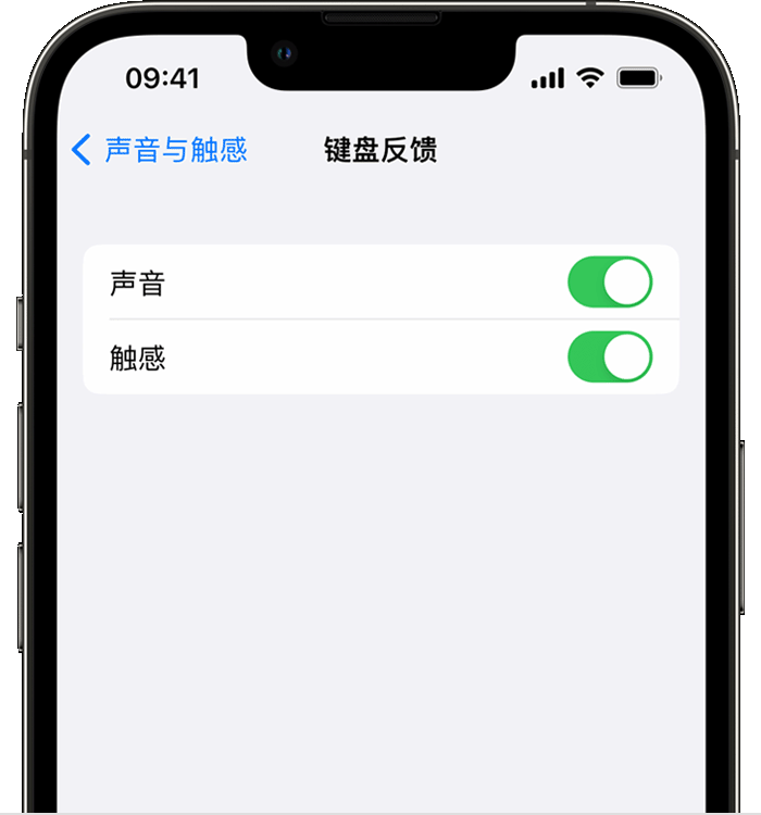 长治苹果14维修店分享如何在 iPhone 14 机型中使用触感键盘 