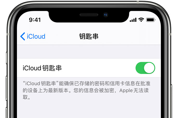 长治苹果手机维修分享在 iPhone 上开启 iCloud 钥匙串之后会储存哪些信息 