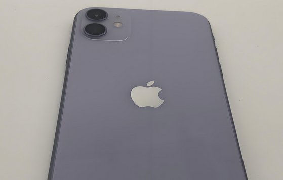 长治苹果11系统维修分享iPhone11手机系统崩溃无法开机如何解决 